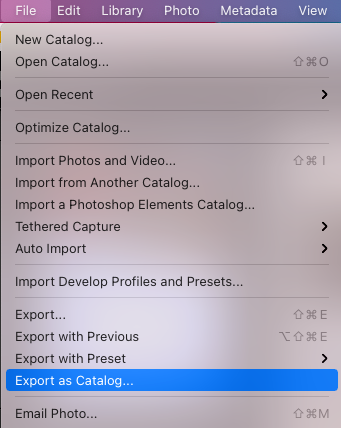 A screenshot of the export catalog option in iphoto.