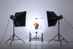 A photo studio with two lights and a vase of flowers.