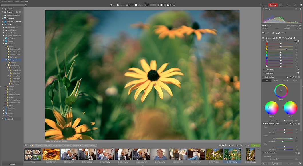 Develop tools in Zoner Photo Studio X.