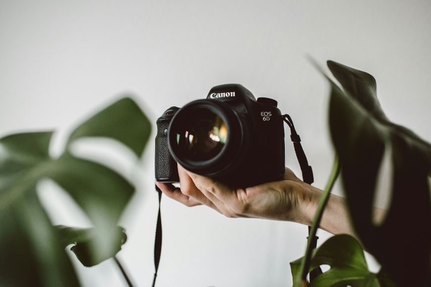 A person holding a camera up to a plant.