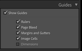 Show guides in lightroom.