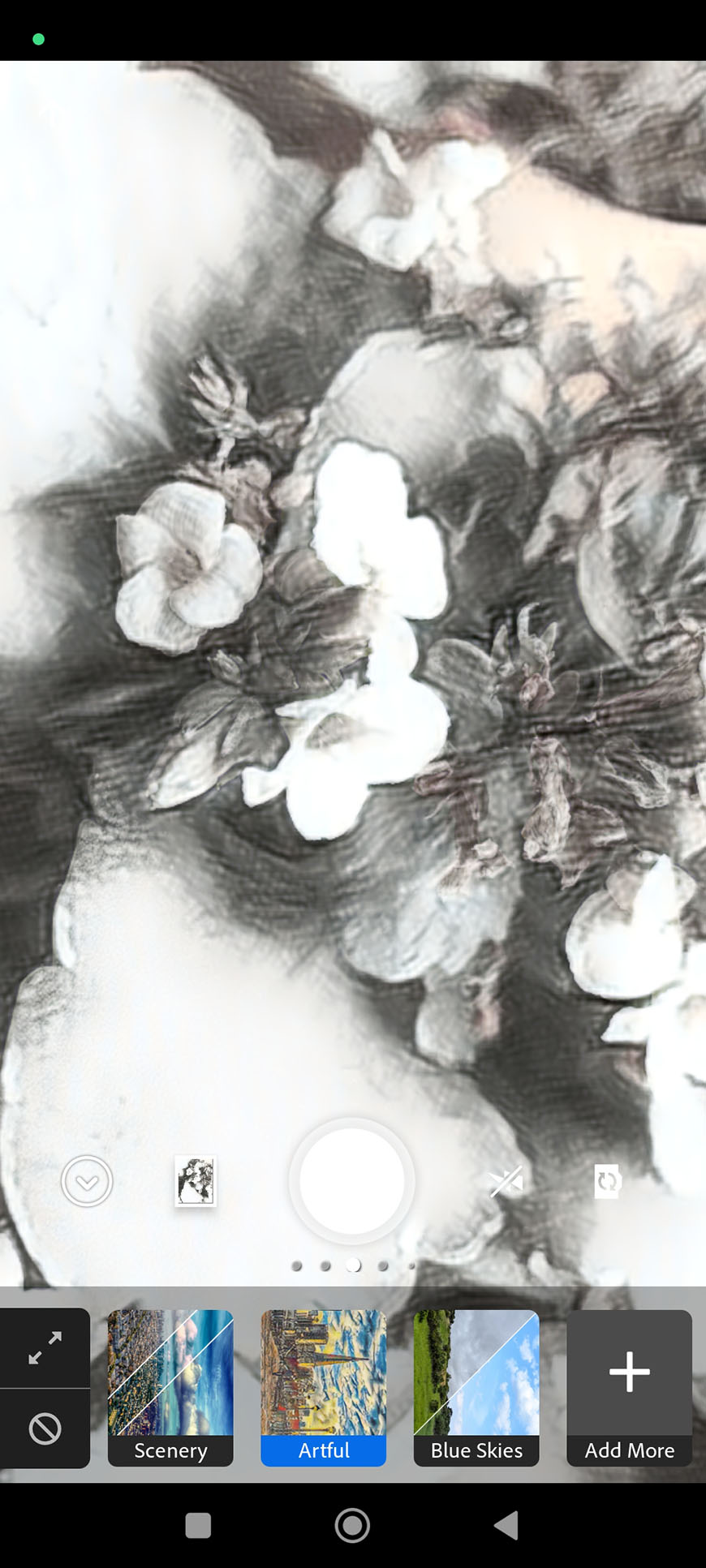 A smartphone screen displaying a filter selection interface with an image of flowers in an artful monochromatic style.