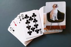 A spread of playing cards fanned out on a surface with the top card featuring an image of a smiling dog sitting on a chair.