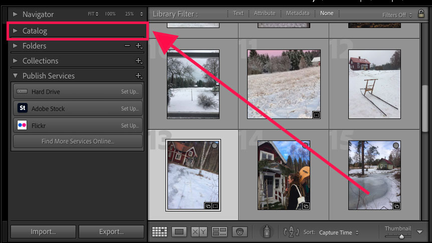 A photo in lightroom with the arrow pointing to a snowy scene.