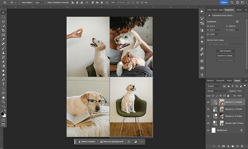 A screenshot of adobe photoshop editing interface with a composite image of a dog in various scenarios, including wearing glasses and being offered a treat.