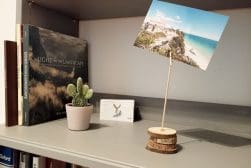 A neatly organized shelf displaying a small potted cactus, a postcard on a wooden stand, and a collection of hardcover books.