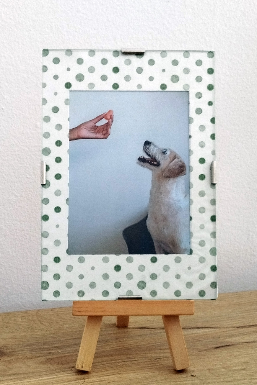 A framed photograph of a dog looking up at a human hand on display.