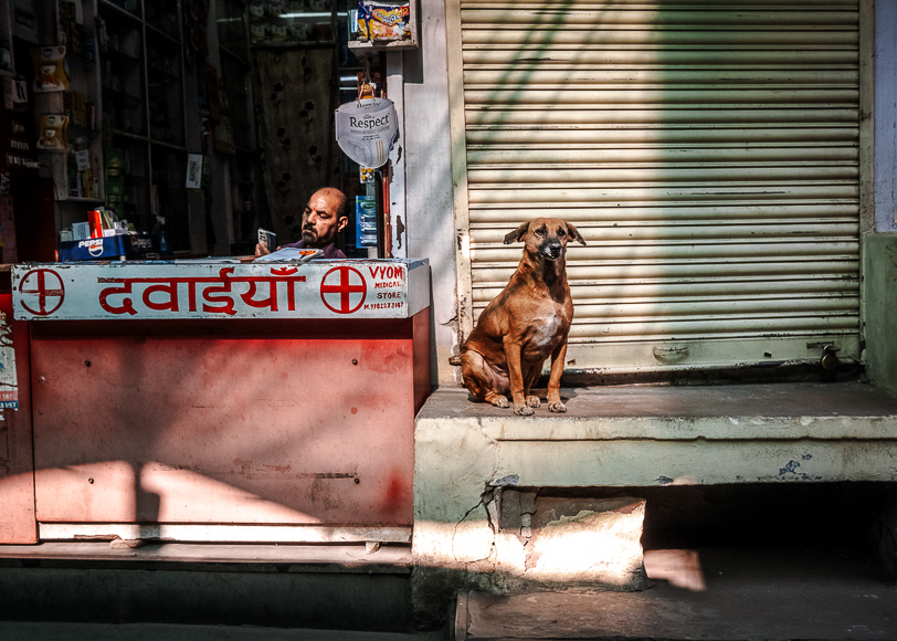 A man at a shop counter and a dog sitting on a step in a sunlit alley.