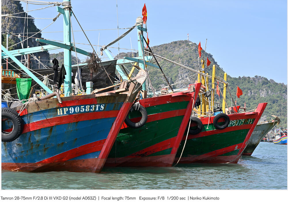 Fishing boats moored at a quayside with a mountainous backdrop.