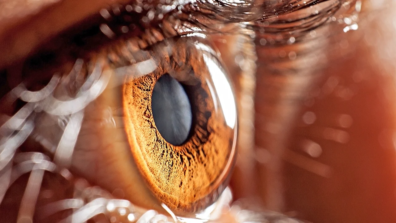 Close-up of a human eye, highlighting the detailed texture of the iris.