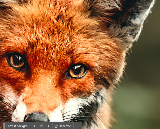 Close-up of a red fox with a blurred natural background.