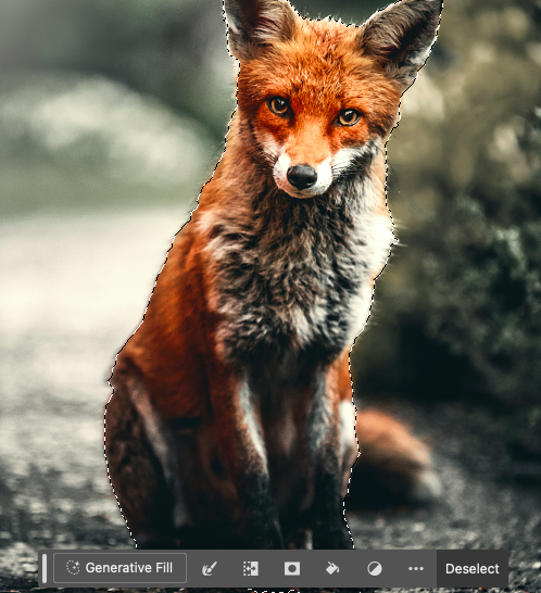 A red fox sitting on a path with a blurred background.