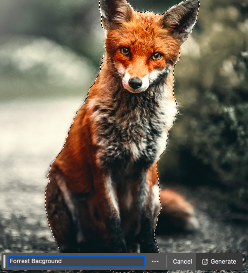 A red fox sitting attentively in a forest setting.
