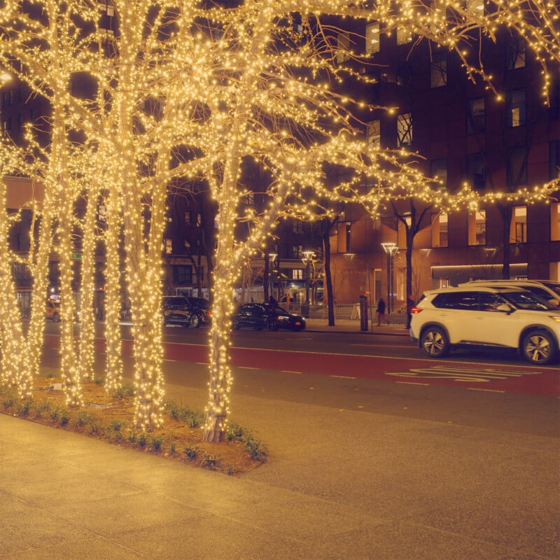 Trees adorned with twinkling lights line a city street at dusk.