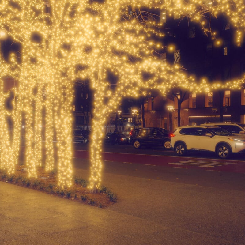 Trees adorned with twinkling lights along a city street at night.