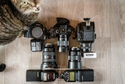 A collection of photography equipment, including various cameras and lenses, laid out on a wooden floor with a cat partially visible on the left side of the image.