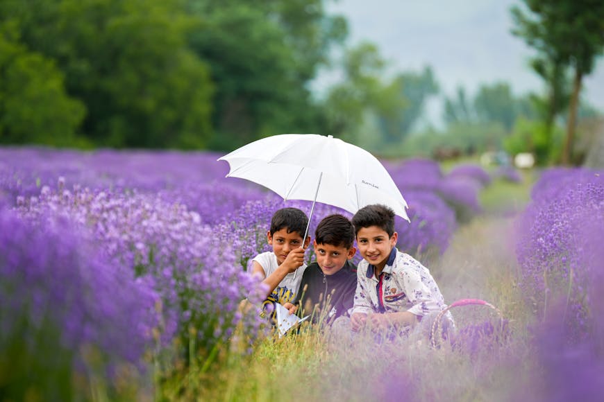 Three children with an umbrella in a lavender field.