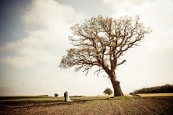 A couple embracing under a large tree in an open field.
