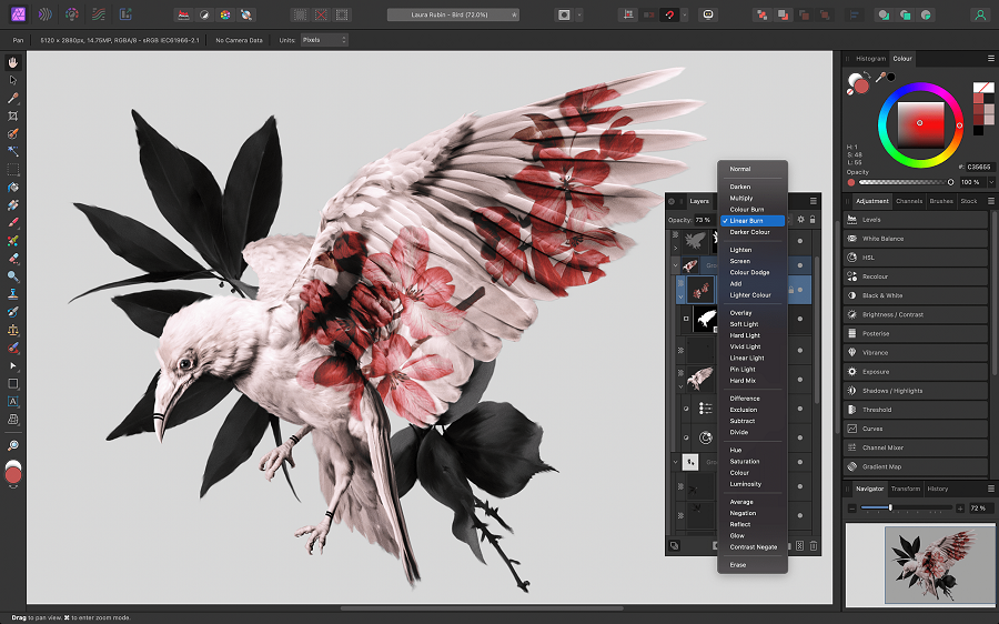 Digital artwork of a bird with floral wing patterns displayed in a graphic editing software interface.