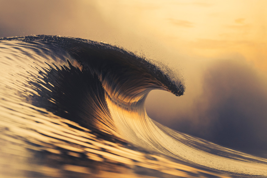 A golden wave curling during sunset.