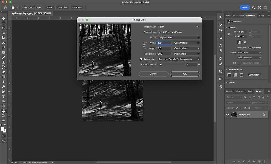 A screenshot of adobe photoshop interface with "image size" dialog box open, displaying settings for a black and white forest image.