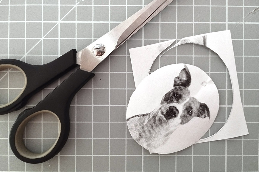 Scissors, a printed photo of a dog, and tape on a cutting mat, mid-project.