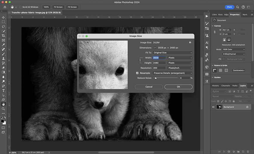 A screenshot of adobe photoshop software with an image editing window open, displaying the "image size" settings for a grayscale photo of a young bear.
