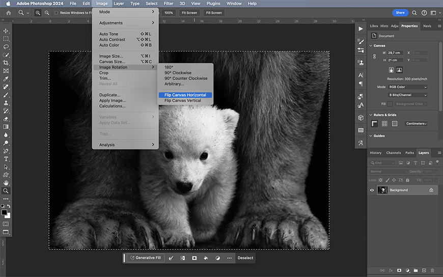 A screenshot of adobe photoshop interface with an image of a polar bear cub being edited.