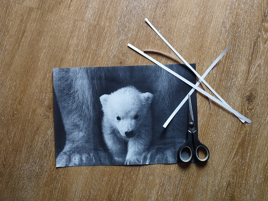 A black and white photo of a polar bear cub on a wooden surface with three disarranged straws and a pair of scissors placed on top of it.