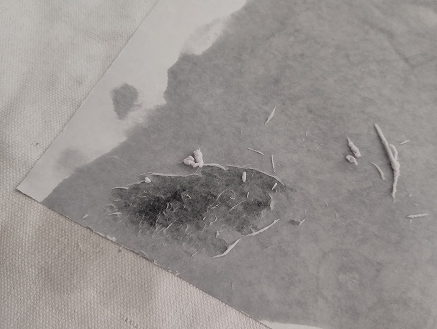 A grayscale image showing a torn piece of paper with some fibers and small debris scattered on its surface.