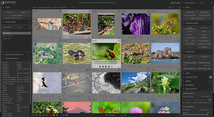 Screenshot of a computer screen displaying multiple wildlife images in an image editing software interface.
