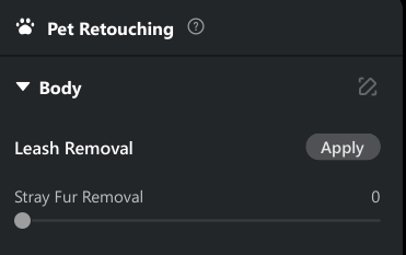 How to Remove Stray Hair in Pet Portraits Using Evoto AI 3