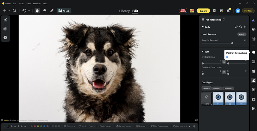 How to Remove Stray Hair in Pet Portraits Using Evoto AI 5