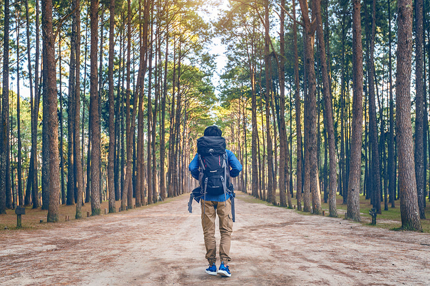 How to Use the Triangle Method for Better Outdoor Photos 2