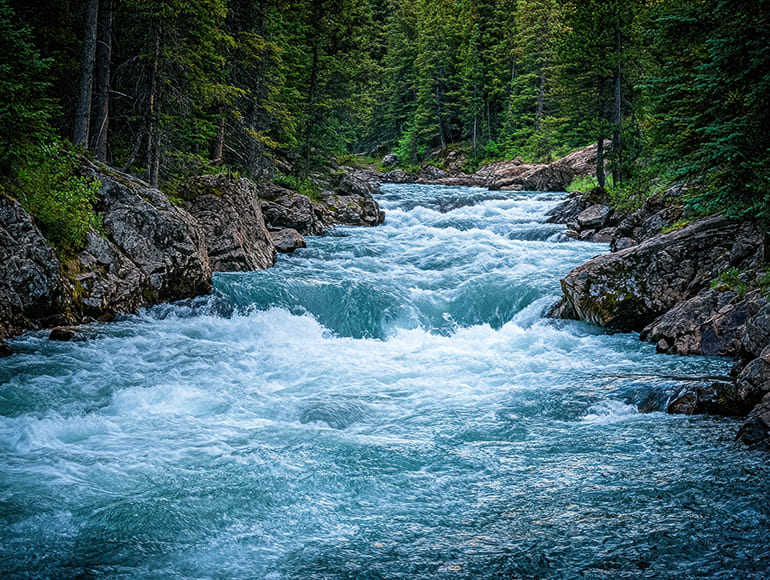 How to Use the Triangle Method for Better Outdoor Photos 4