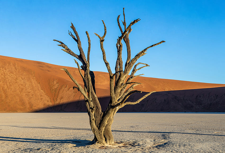 How to Use the Triangle Method for Better Outdoor Photos 9