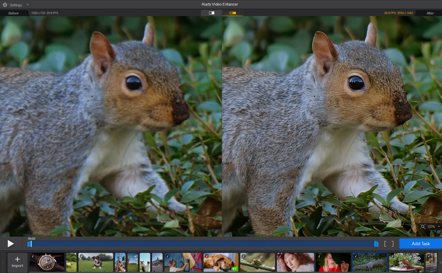 screenshot of a wildlife video before and after upscaling using Aiarty