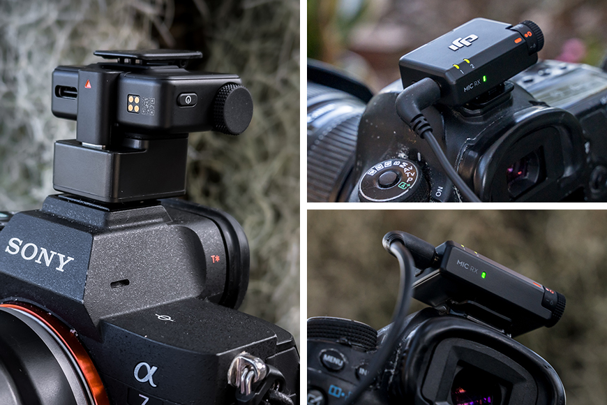 The Mini Receiver is compatible with digital cameras, either through USB, the 3.5mm cable, or the Sony MI hot shoe compatible DJI Mic Series Camera Adapter.