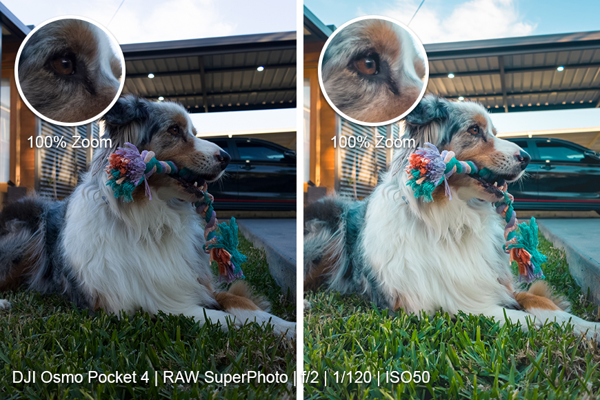 Raw straight out of the Osmo Pocket 4, and a heavy edit in Lightroom using one of my presets.
