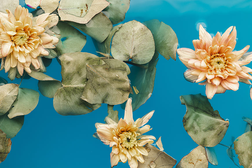 How to Create Stunning Floating Flower & Fruit Pool Shots 5