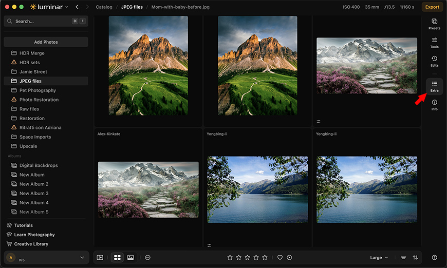 A photo editing software interface displays a grid of nature photos, a sidebar with editing options, and a highlighted “Extras” icon on the right.
