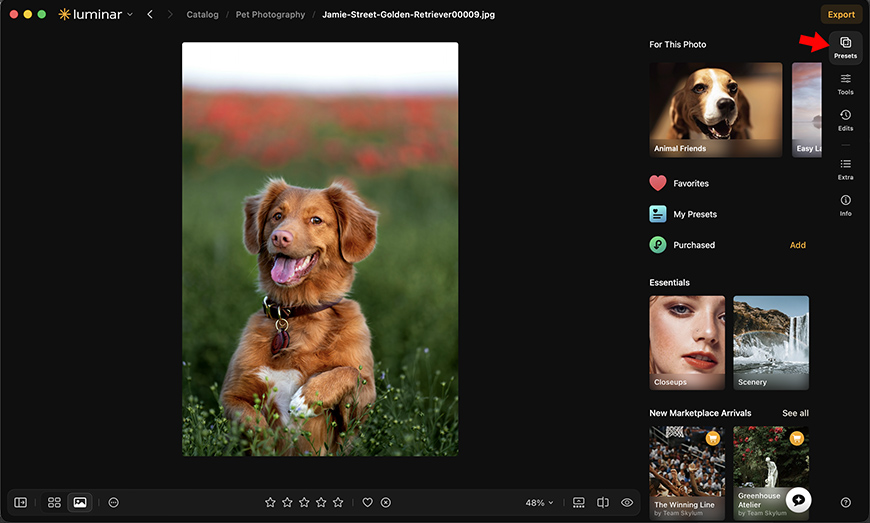A dog sits upright in a field with red flowers, shown in a photo editing software interface with various editing tools and presets visible on the right panel.