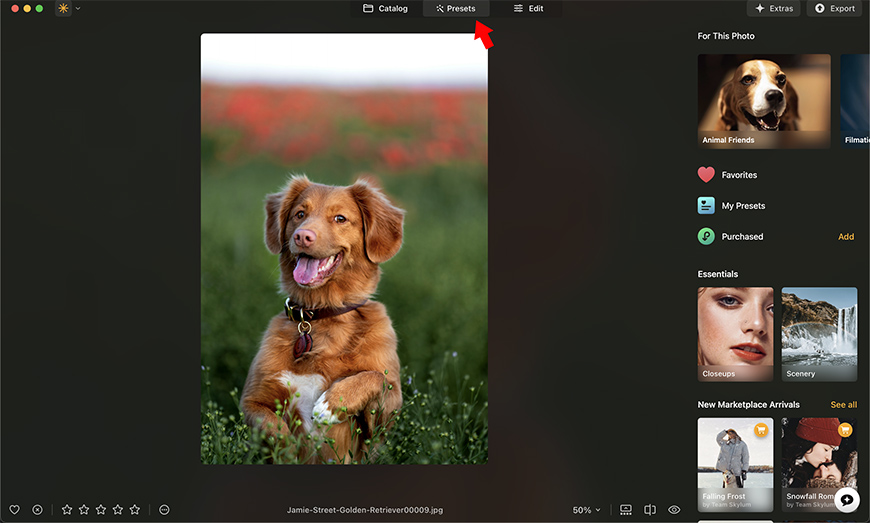 A photo editing software window showing a dog’s portrait in the center, with preset and catalog options in the top toolbar and photo categories listed on the right sidebar.