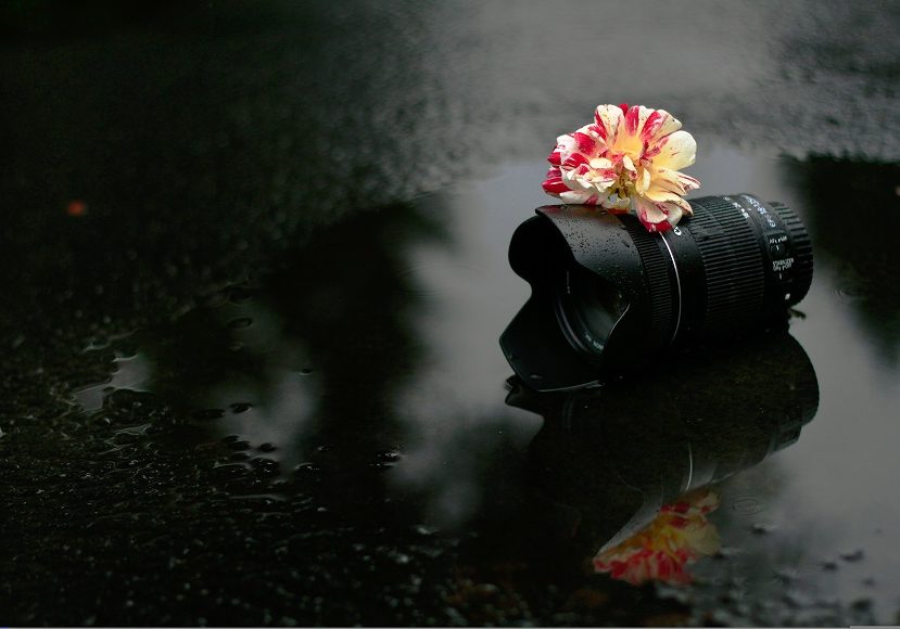 A camera lens sitting in a puddle of water.