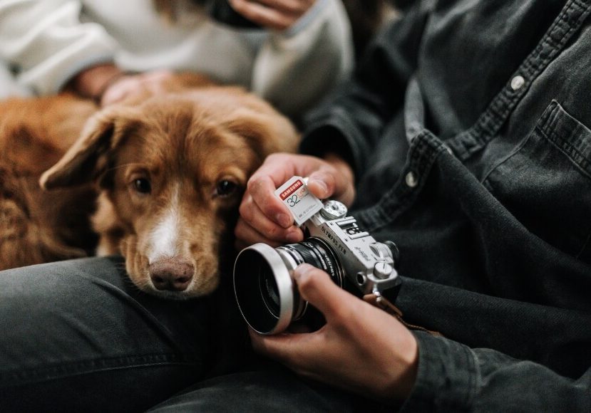 A person holding a camera and a dog.