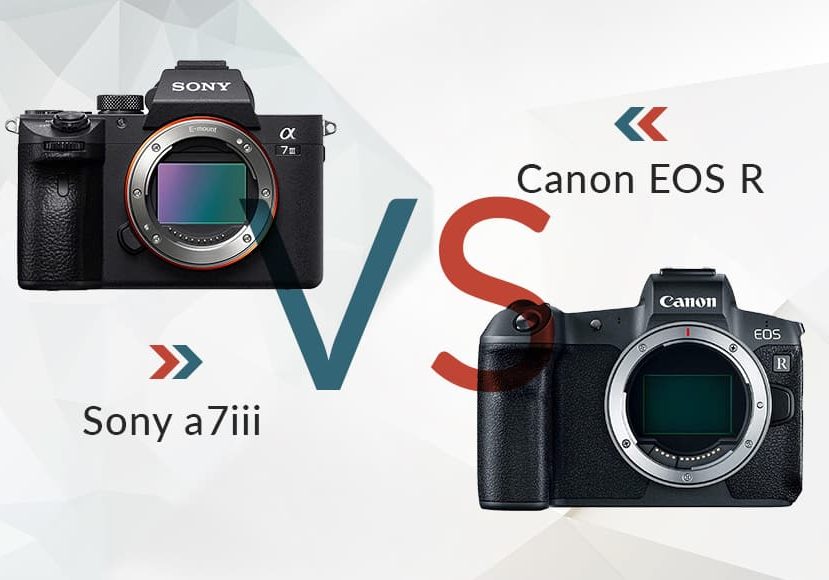 Canon R100 vs Canon R Detailed Comparison
