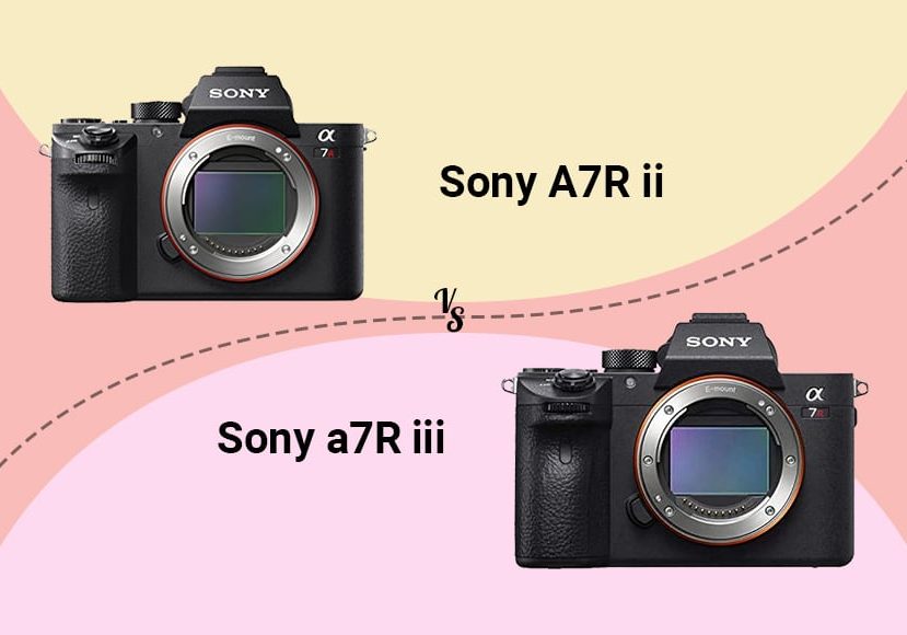Sony a7RII vs A7RIII