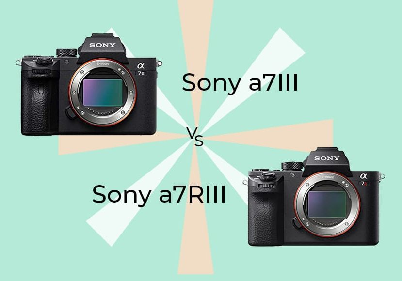 Sony a7 III vs a7R III  Alpha Camera Comparison
