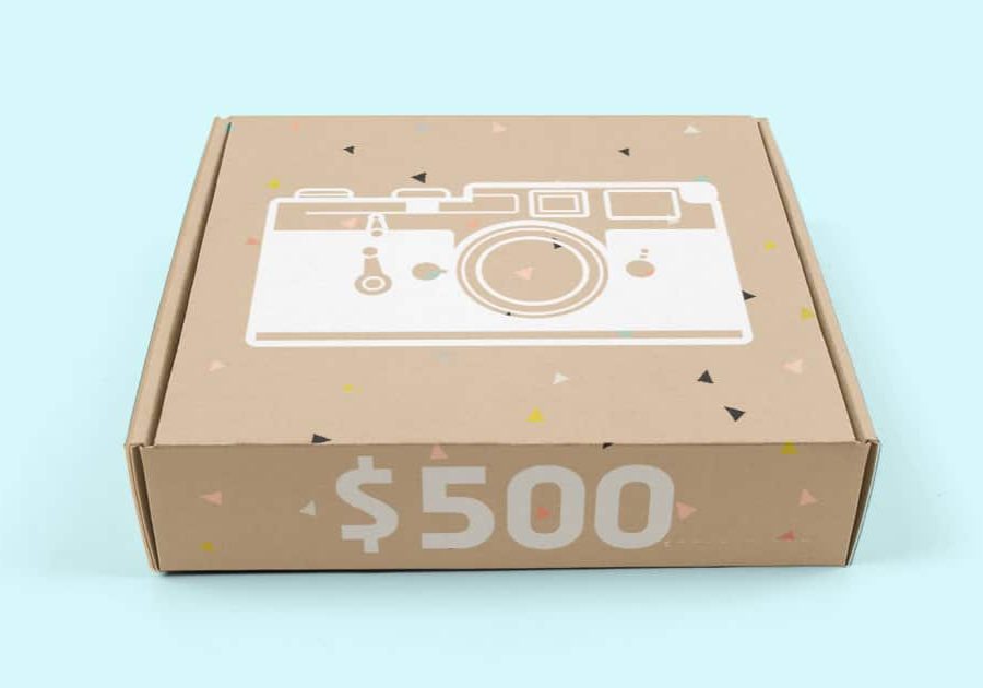The best cameras under $500