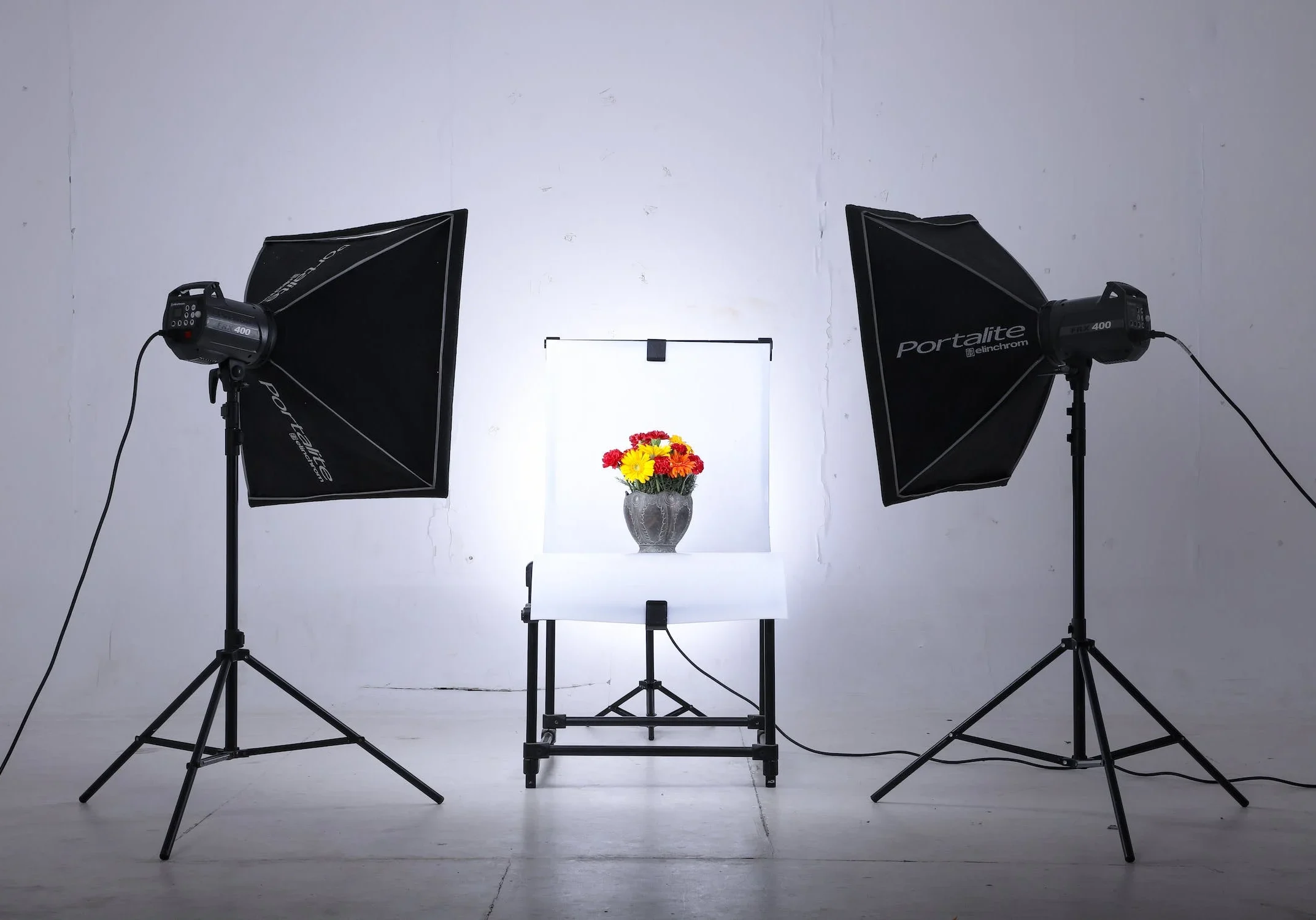 A photo studio with two lights and a vase of flowers.